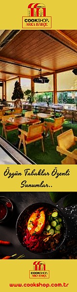 160×600 – Sol Kayan